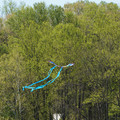 DSC02122.JPG