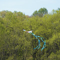 DSC02123.JPG