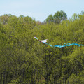 DSC02124.JPG