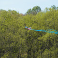 DSC02125.JPG