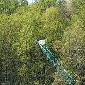 DSC02128.JPG