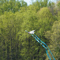 DSC02129.JPG