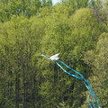 DSC02130.JPG