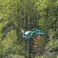 DSC02132.JPG