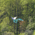 DSC02133.JPG