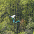 DSC02134.JPG