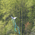 DSC02135.JPG