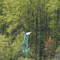 DSC02136.JPG