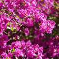 DSC02139.JPG