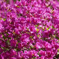 DSC02140.JPG