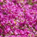DSC02141.JPG