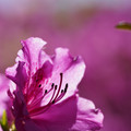 DSC02144.JPG