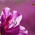 DSC02146.JPG