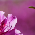 DSC02147.JPG