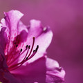 DSC02149.JPG