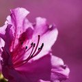 DSC02150.JPG