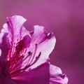 DSC02153.JPG