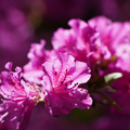 DSC02162.JPG