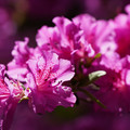 DSC02164.JPG