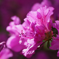 DSC02167.JPG