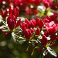 DSC02168.JPG