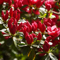 DSC02169.JPG