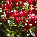 DSC02171.JPG