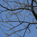 DSC02182.JPG