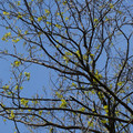 DSC02183.JPG