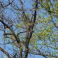 DSC02184.JPG