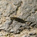 DSC02189.JPG