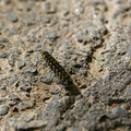 DSC02190.JPG