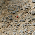 DSC02193.JPG