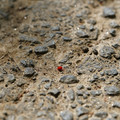 DSC02194.JPG