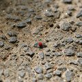 DSC02196.JPG