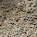 DSC02197.JPG