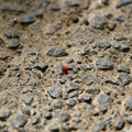 DSC02200.JPG
