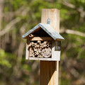 DSC02201.JPG