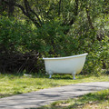 DSC02210.JPG