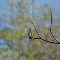 DSC02211.JPG