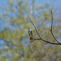 DSC02212.JPG