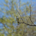DSC02213.JPG