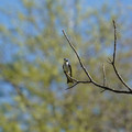 DSC02214.JPG
