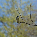 DSC02215.JPG