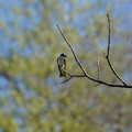 DSC02216.JPG