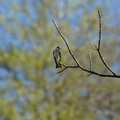 DSC02218.JPG