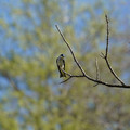 DSC02219.JPG