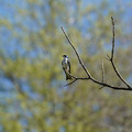 DSC02220.JPG