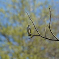 DSC02221.JPG