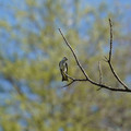 DSC02222.JPG